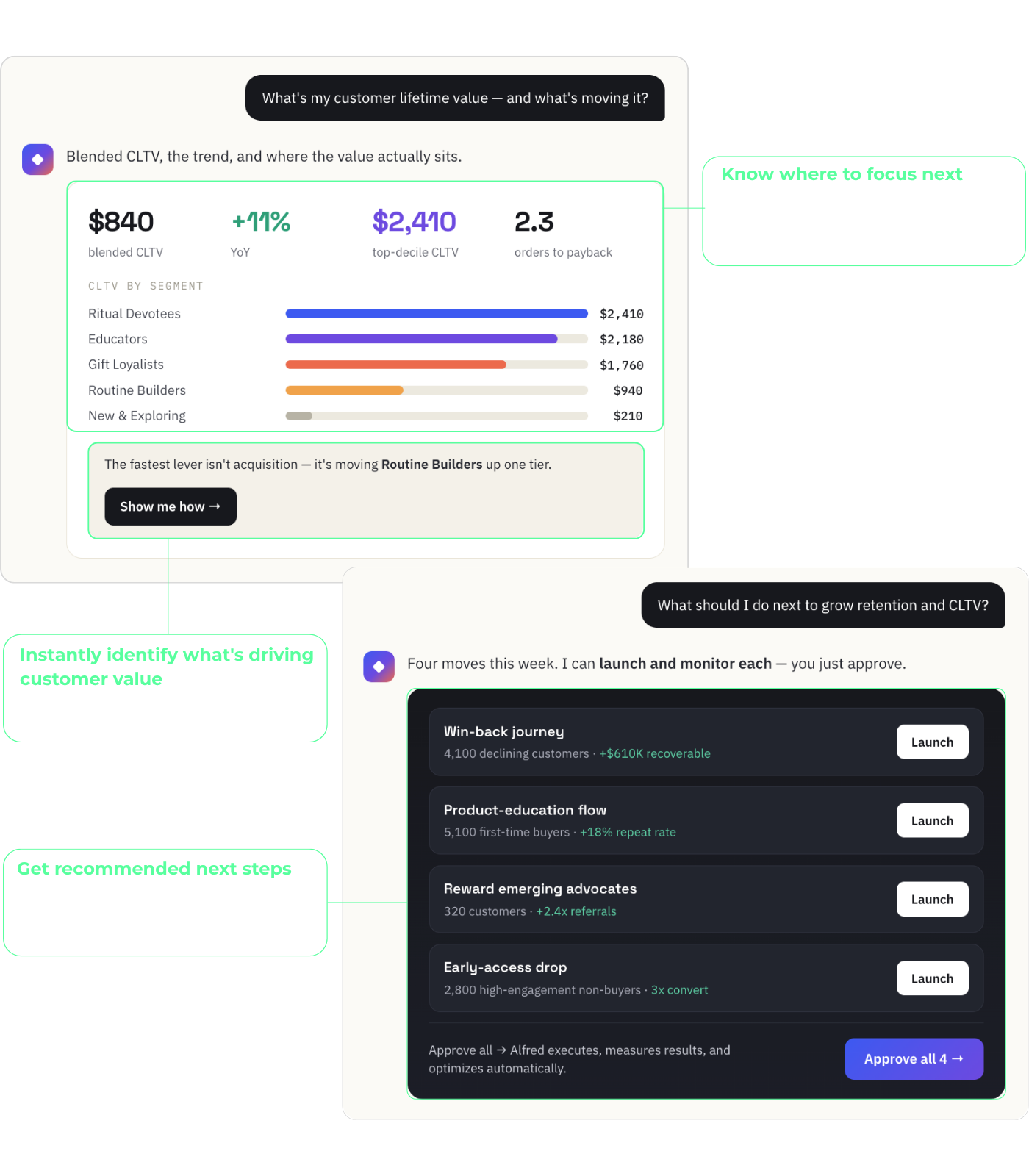 Alfred showing customer lifetime value drivers, segments that need attention, and recommended next steps